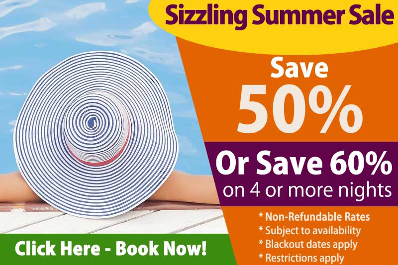 summer sale special